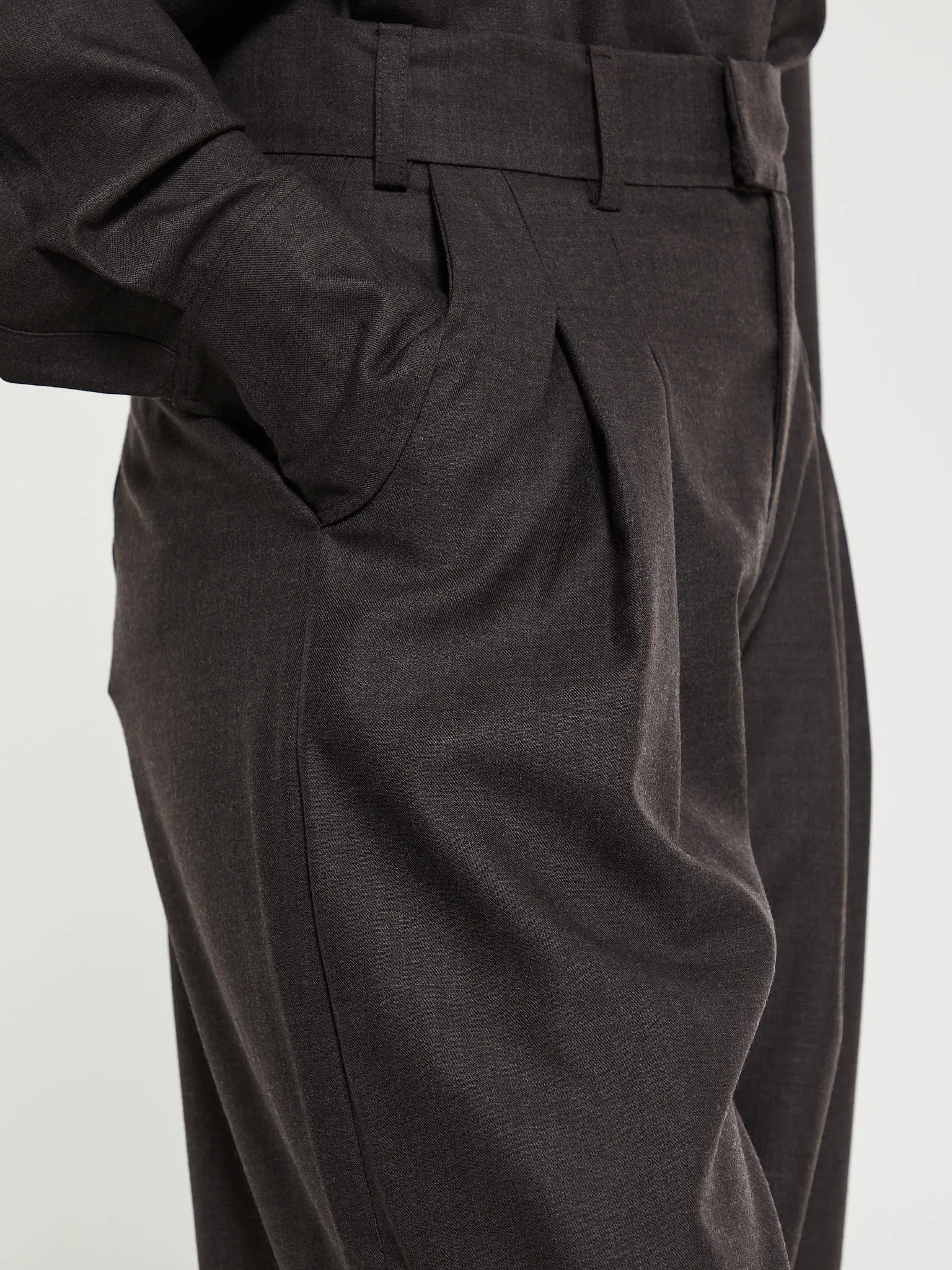 Fine Wool Casual Pants in Brown