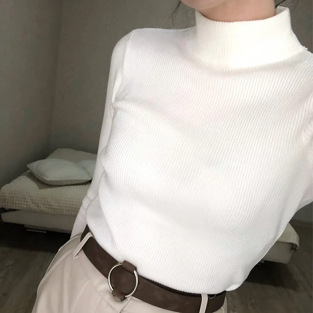 Turtleneck Long Sleeve Slim Sweater